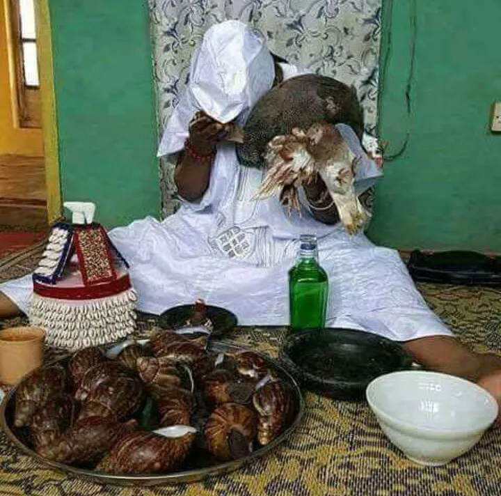 cleanse ori