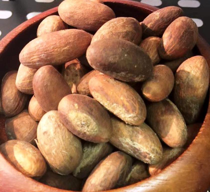 orogbo bitter kola