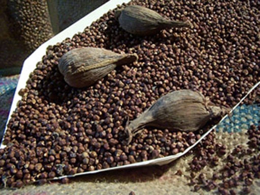 atare - guinee pepper in yoruba